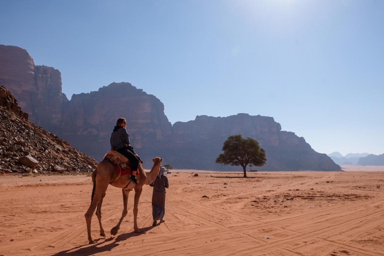 Wadi Rum Bedouin Camp And Desert Tours Екстериор снимка